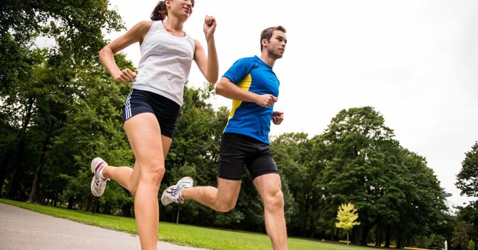 Sports Chiropractic Care and Rehab